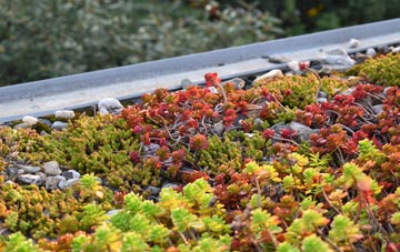 the cost of Whetley Cross green roof installation