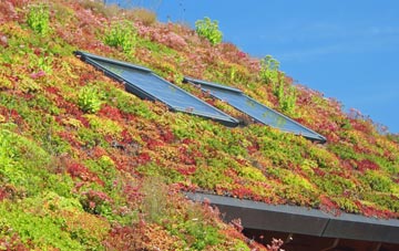 Whetley Cross living roof systems